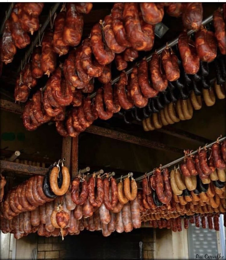 Guillermo Roca tweet media