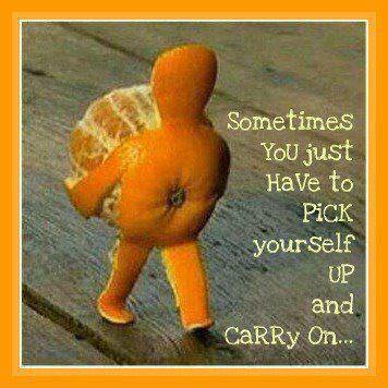 FitnessHacks101's tweet image. Good morning! Have a great day, and remember: If you get up one more time than you fall, you will make it through. 💪🍊 Sometimes you just have to pick yourself up and carry on!

#FitnessMotivation #Wellness #HealthyLifestyle #MindsetMatters #NoExcuses #StayActive #GetFit