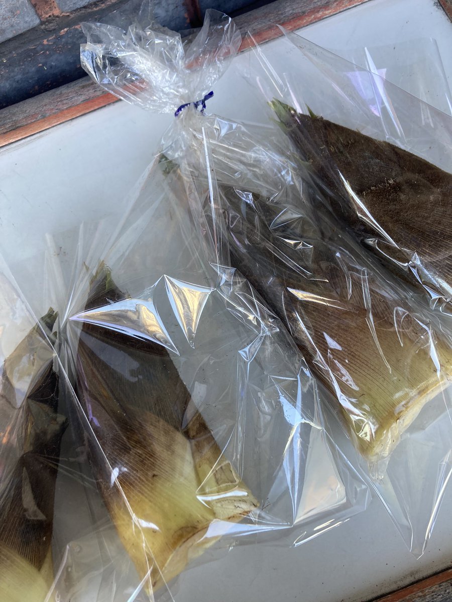 本日タケノコの販売ございます！
よろしくお願いします🙇‍♀️
お代は扉備え付けのポストにご投入くださいませ。