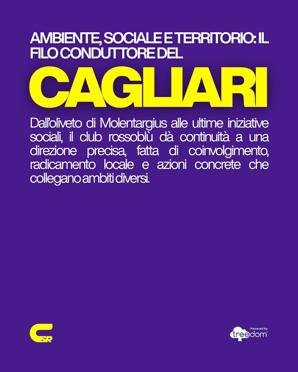 Community Soccer Report tweet media