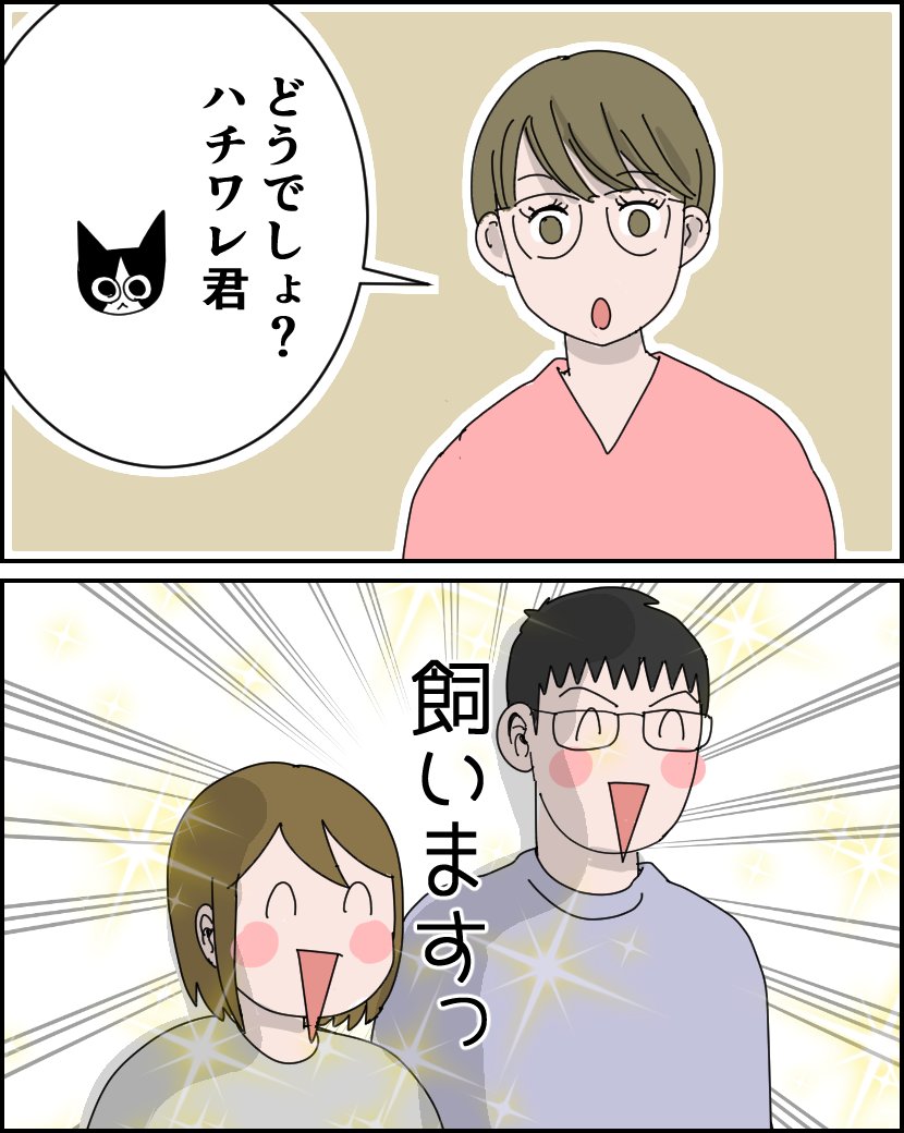 (1/2) 