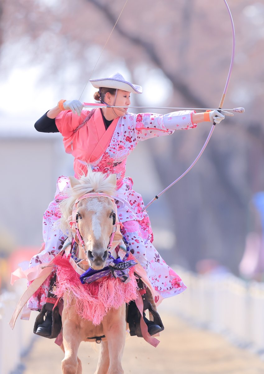 北東北（きたとうほく）三県観光情報コーナー(北東北三県福岡合同事務所) tweet media