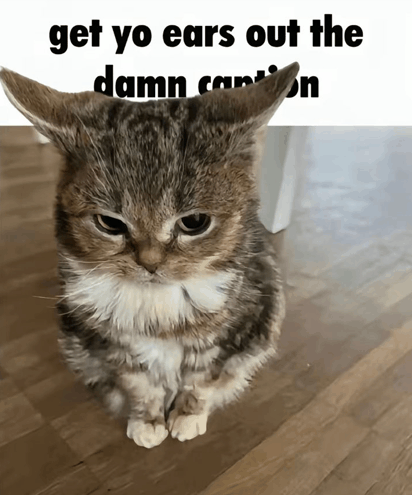 i drink soup (@soupyfur) on Twitter photo 