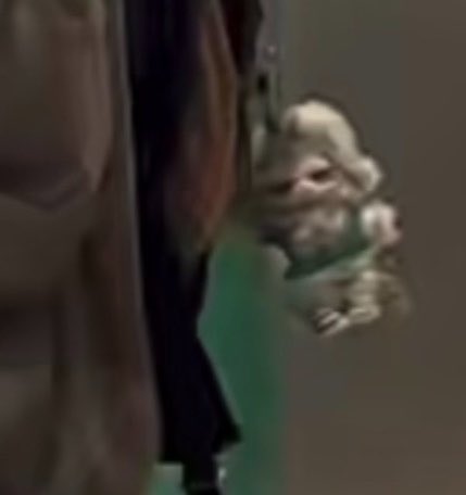 🌷 战宝宝 ~ 85RACING ‎ᥫ᭡. tweet media