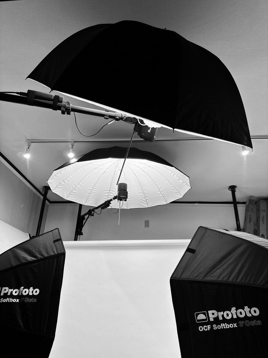 スタジオフグリ♨️ tweet media