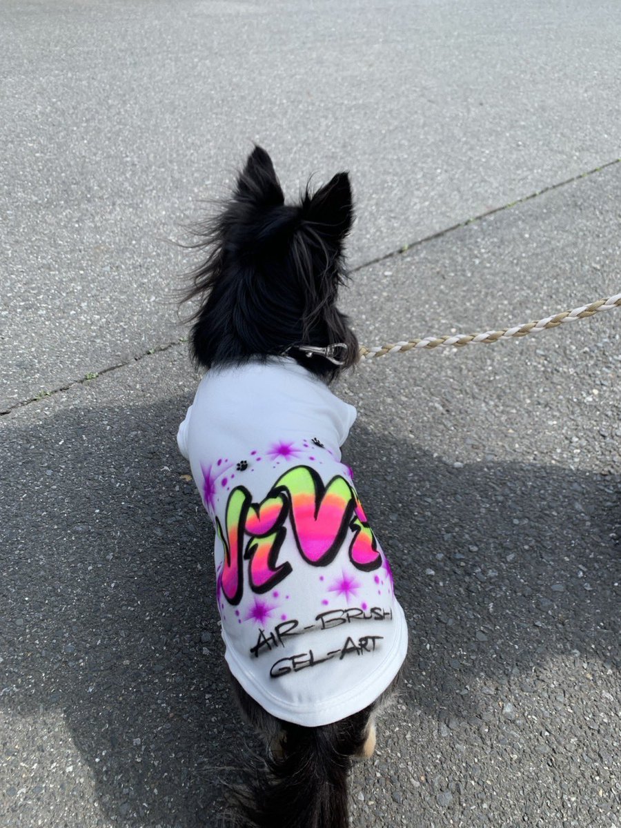 nurisikazuma's tweet photo. 4月19日(日)は、まつぶし緑の丘公園で「メリアスDOGマルシェ」出店です‼️
その前に【お揃いコーデ完成】ワンちゃんとお子様でリンクコーデ🎨
「Viviちゃん」と「Aiちゃん」
名前入りの世界に一つだけのデザインです。
この様な特別仕様もご相談下さい‼️
#ドッグウェア #エアブラシ #GELART https://t.co/LBScbVo3G7