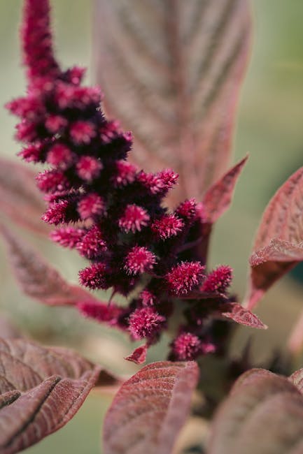 skull☠︎ tweet media