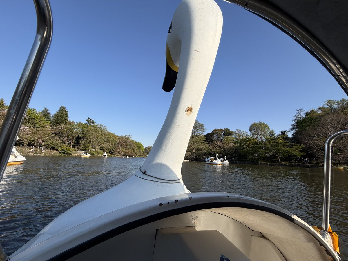 三茶部屋 tweet media