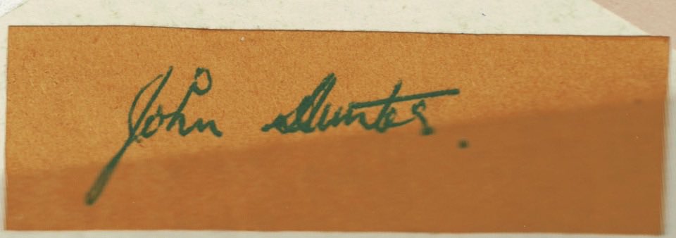 Motherwell F.C. History tweet media