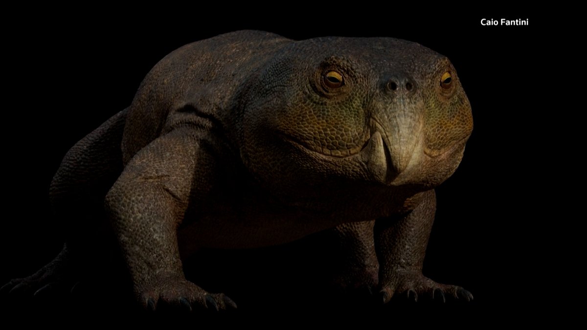 ロイター tweet media