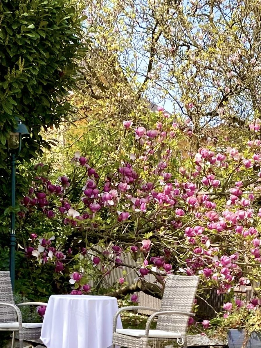 HanneloreKogler's tweet image. Have a wonderful day.   #austria #april