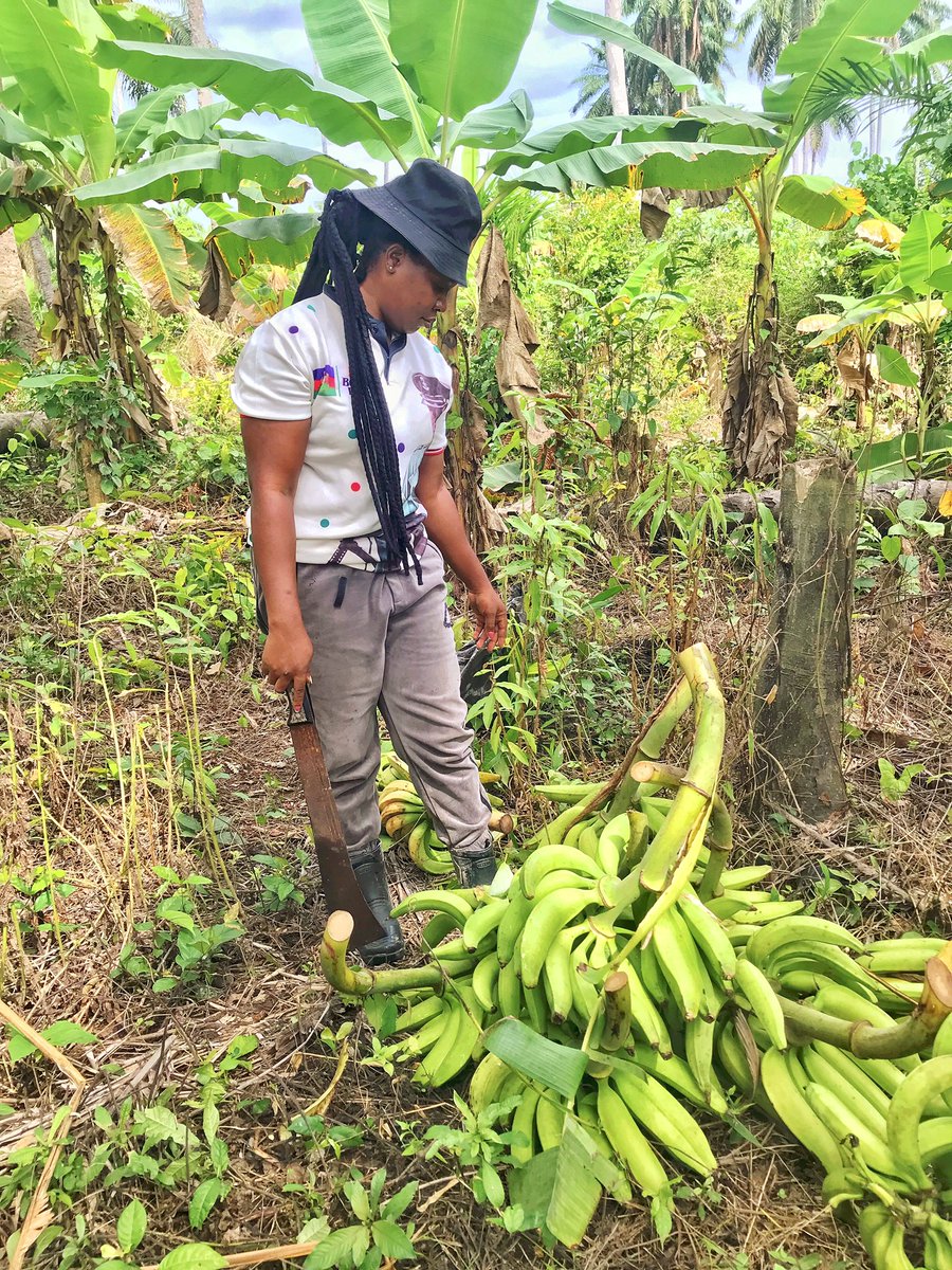 Enibo Albert tweet media