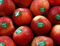 Once again, a new discussion has started about the stickers on fruits and vegetables. Recently, a news related to the Food Safety and Standards Authority (FSSAI) has come out, in which it is being said that stickers on fruits can have a bad effect on your health.

In fact,