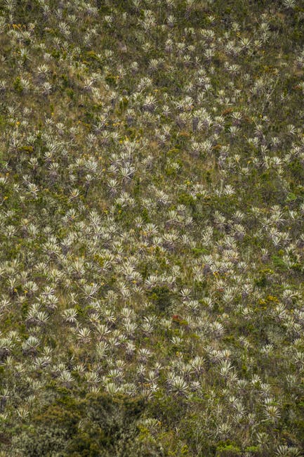 Janice Ferguson tweet media