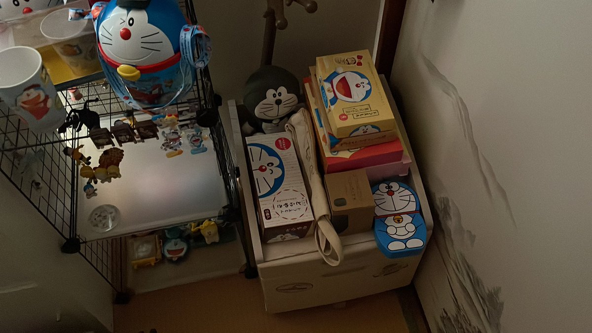 ゆっちゃん🌊🏎️🐟 tweet media