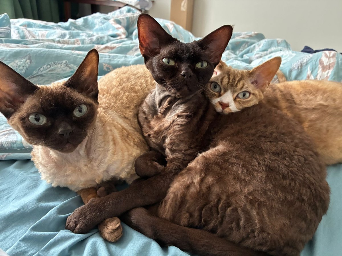 Wojciech Jakóbik tweet media