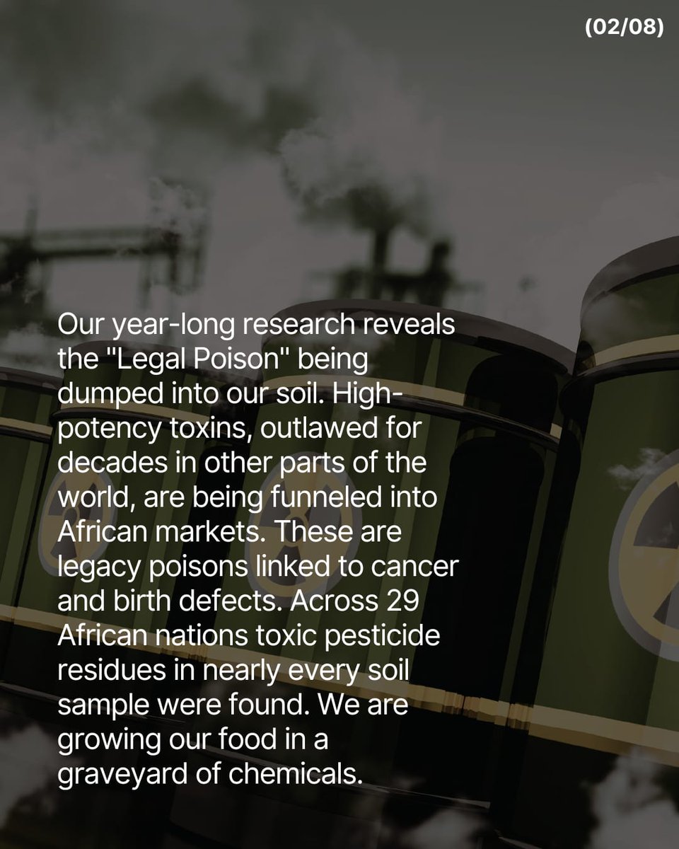 C H I E F, the NuriaStore Bookseller tweet media