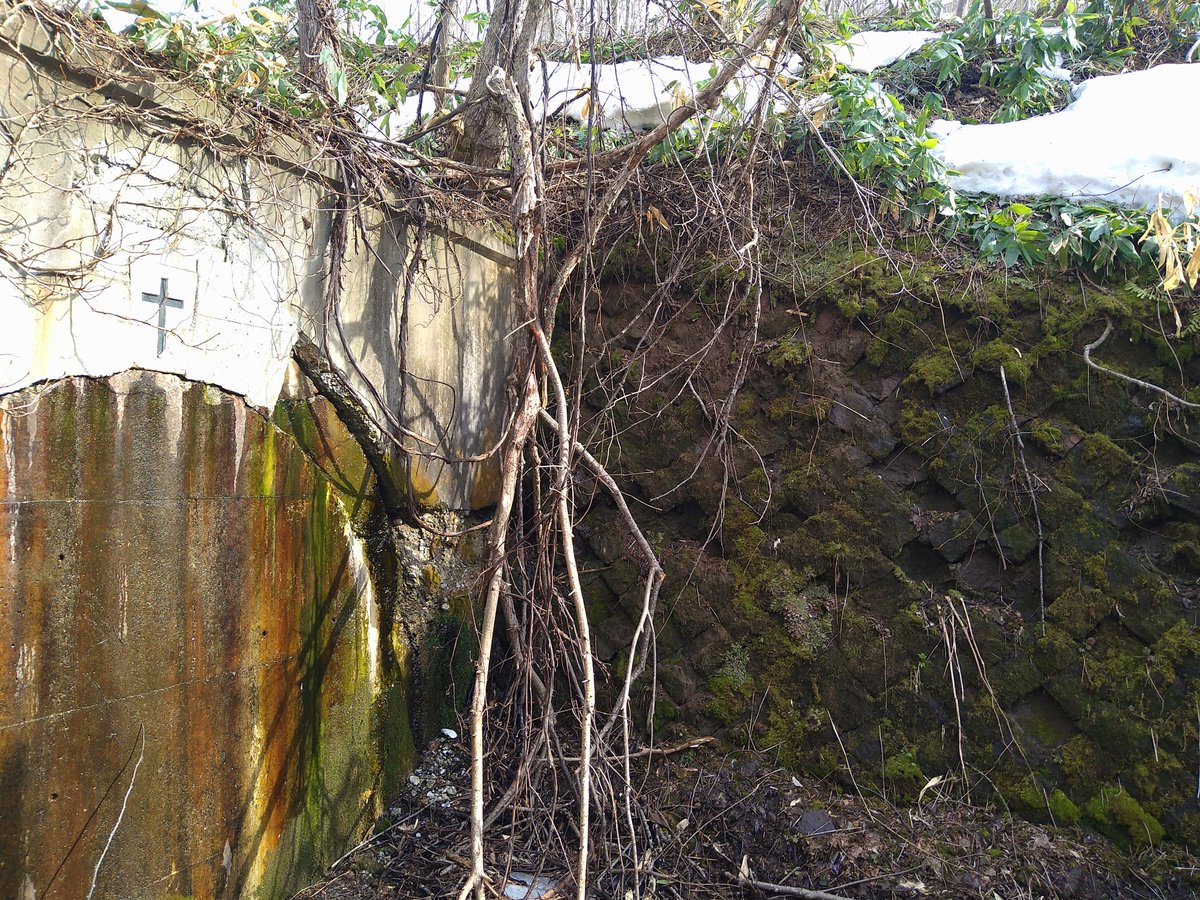 歌登町営軌道の通称十字架トンネル
私の中ではドラクエトンネル笑(ΦωΦ)
草が伸びる前の今時期の探索が良き👌