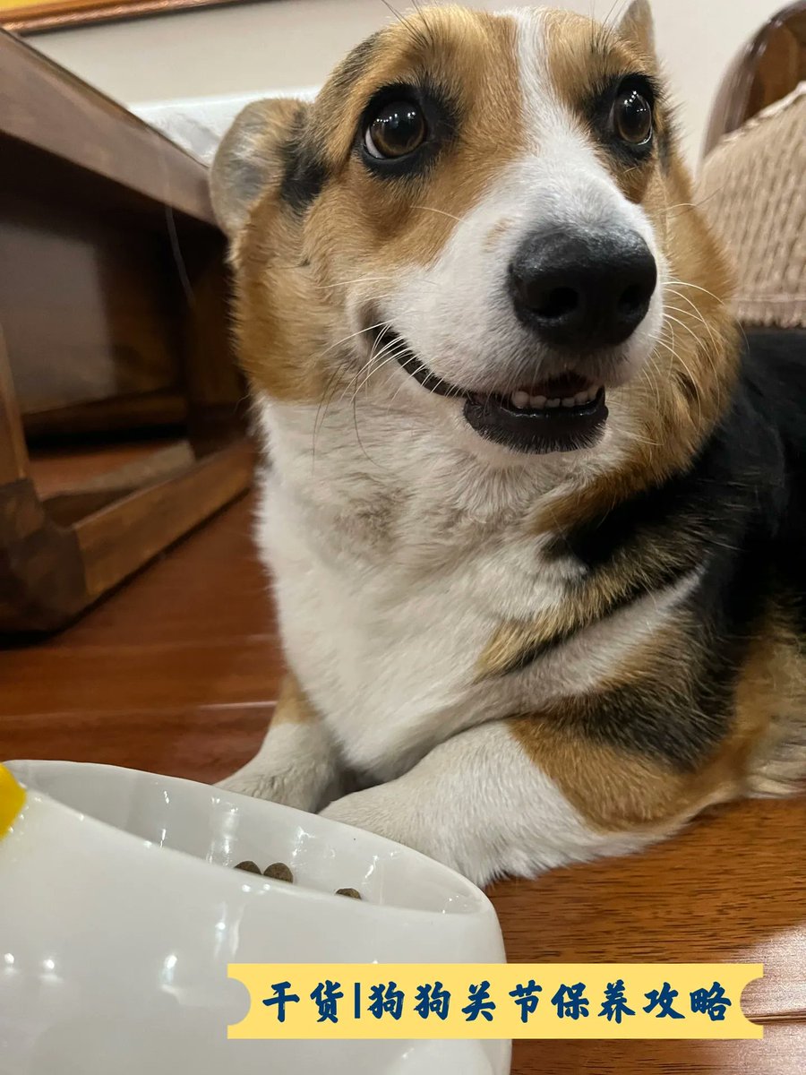 strasser tweet media