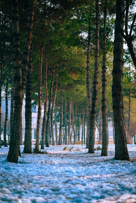 Kelly Gomez tweet media