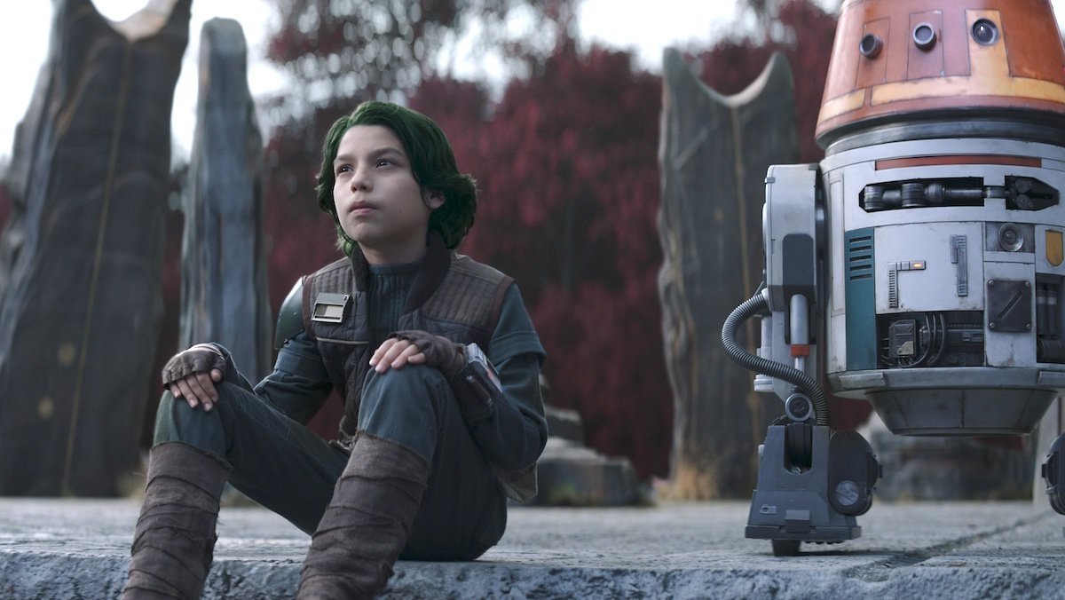 オバケヒマワリSW tweet media