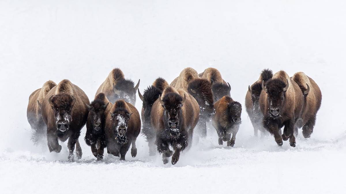 Stockhead tweet media