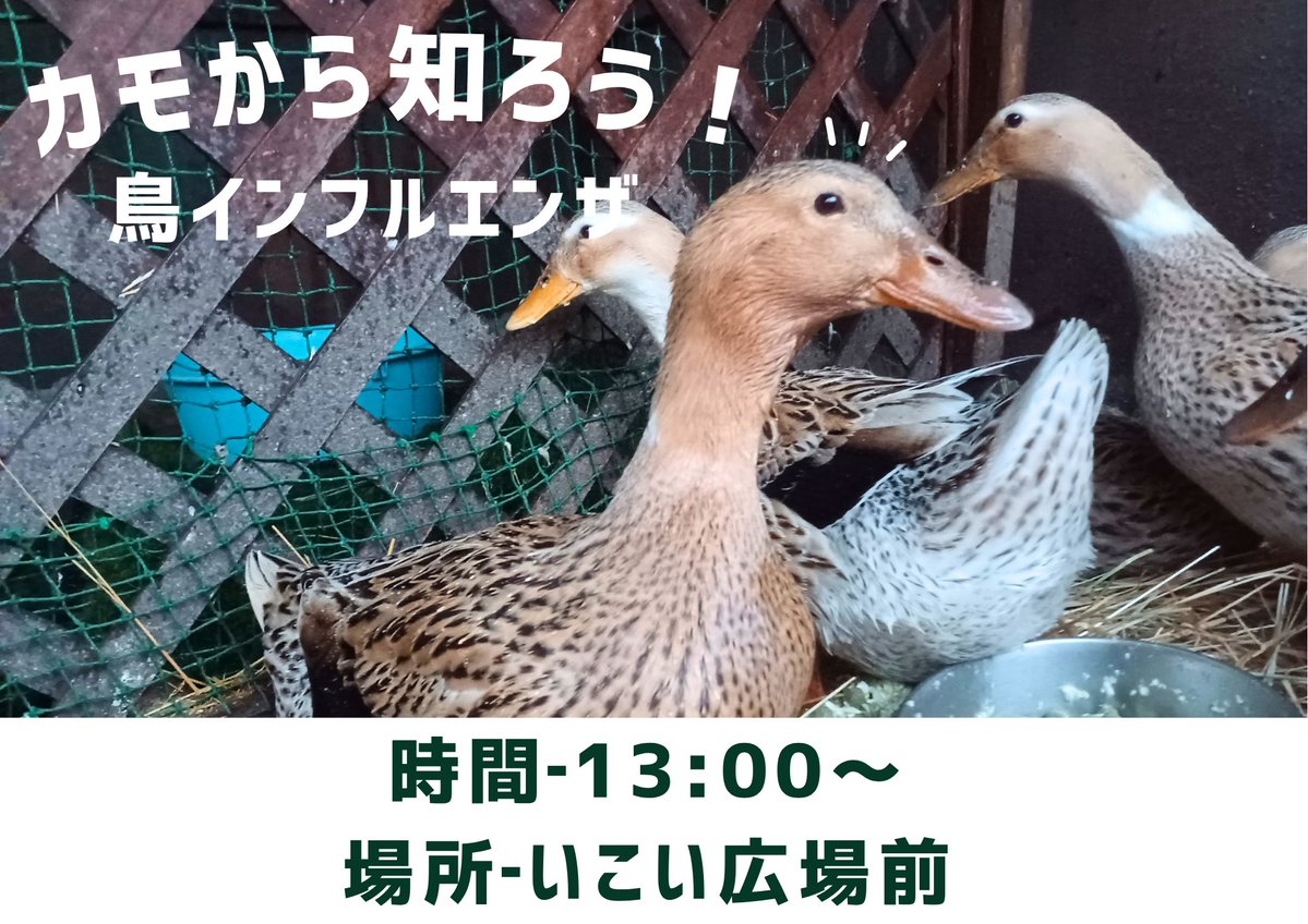 那須ワールドモンキーパーク【公式】 tweet media