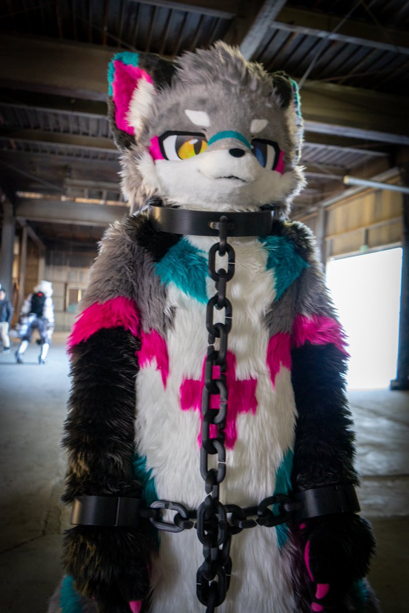 ヴェルク tweet media