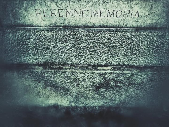 Jordi Mat Amorós tweet media