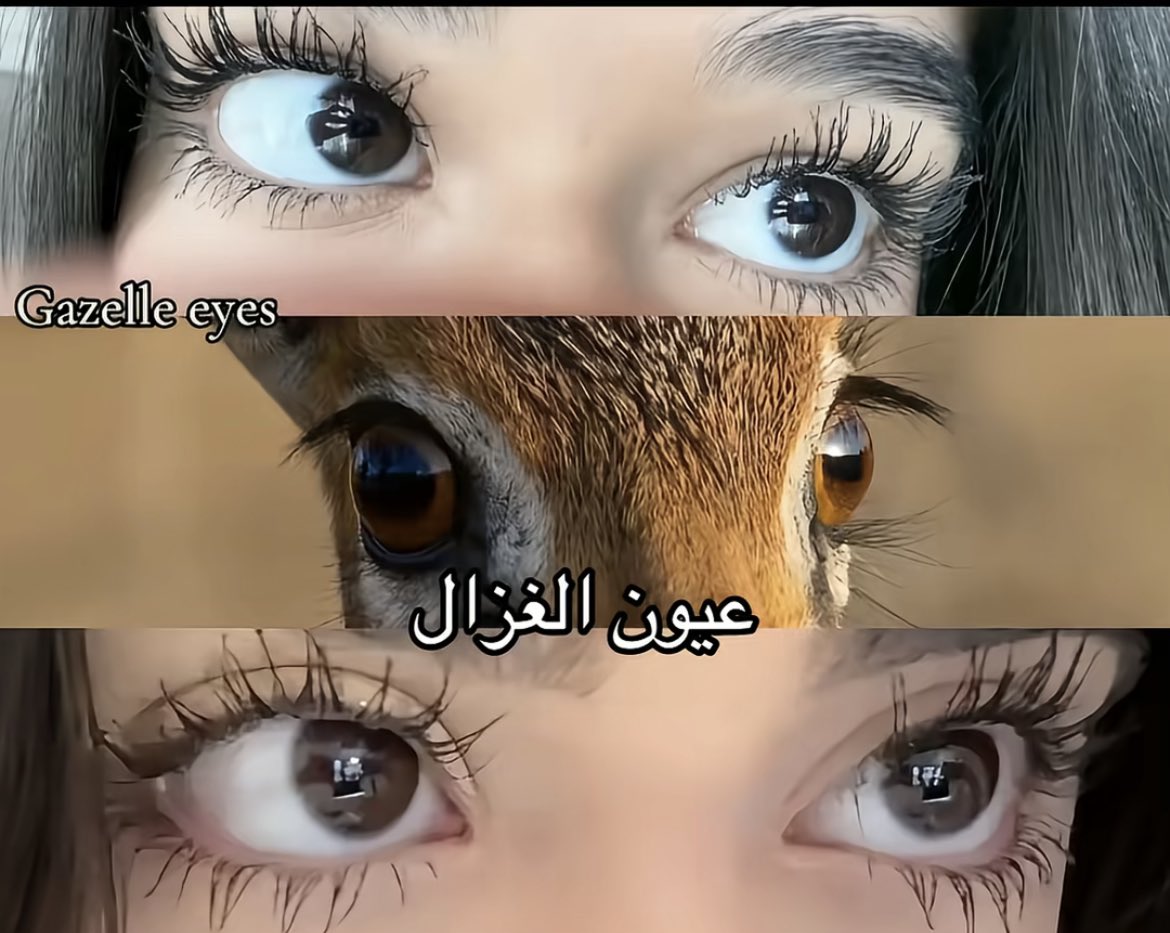 وشوشة يامي tweet media