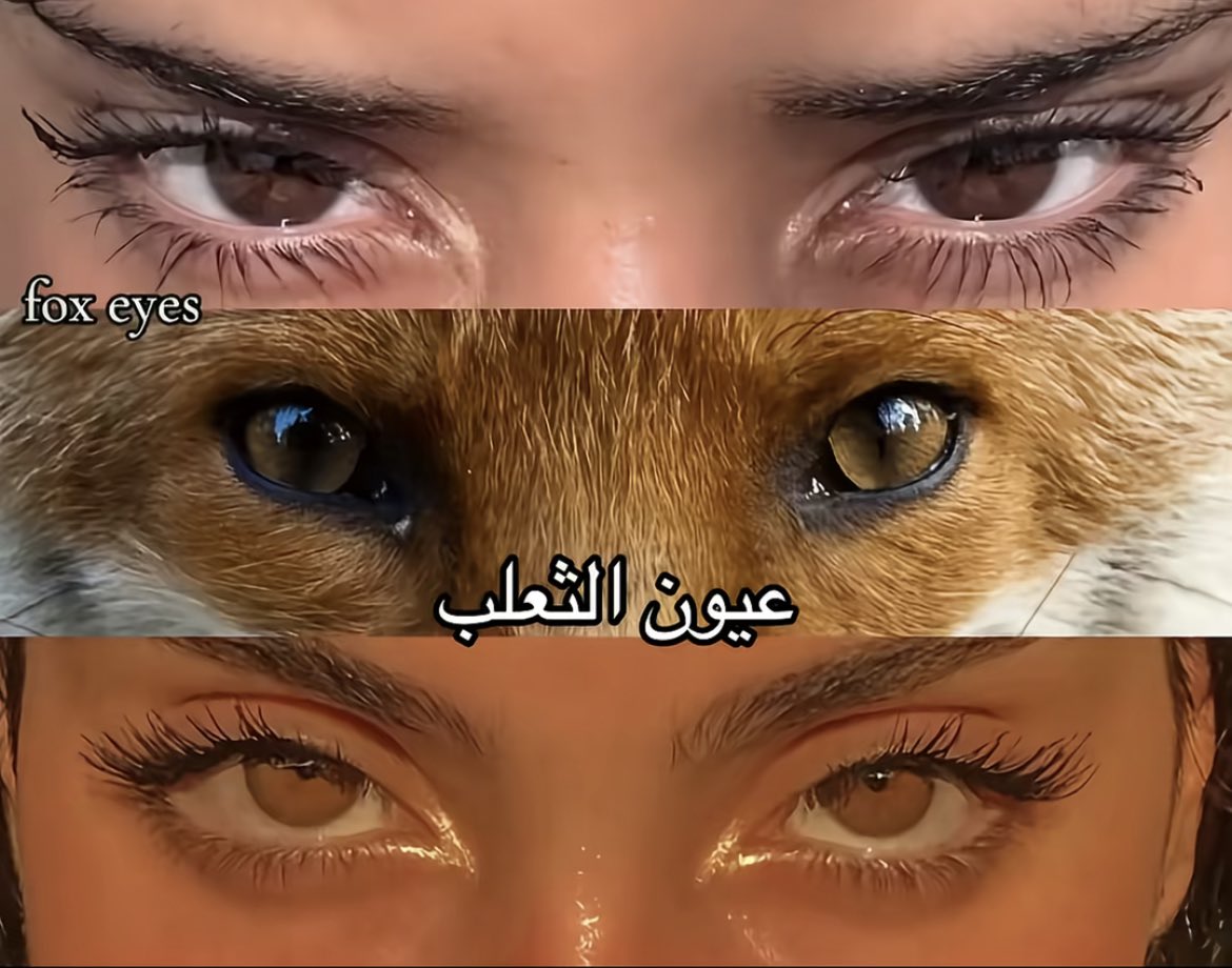 وشوشة يامي tweet media