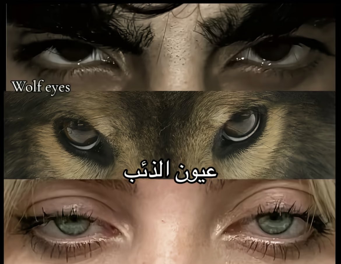 وشوشة يامي tweet media