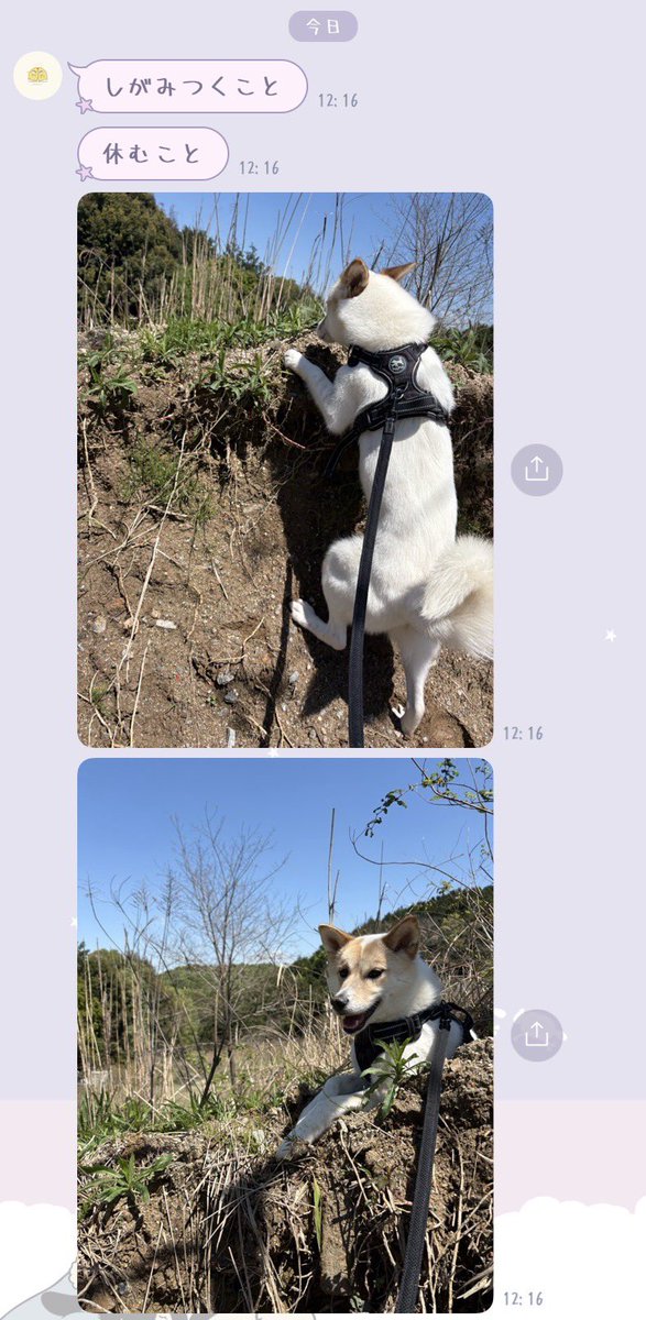 mon24117's tweet photo. お姉ちゃんから送られてきたことかわいい笑 https://t.co/3lELixEpeo