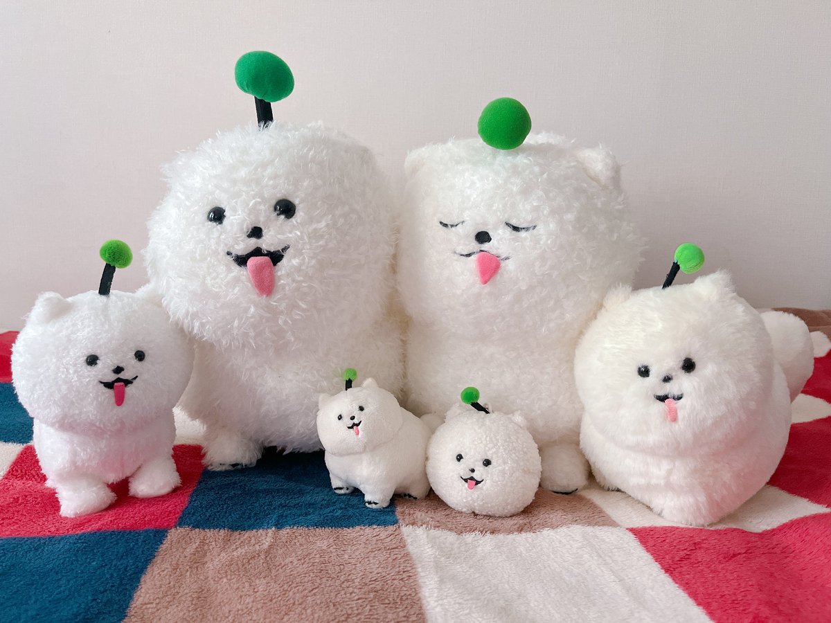 すんたろ。 tweet media