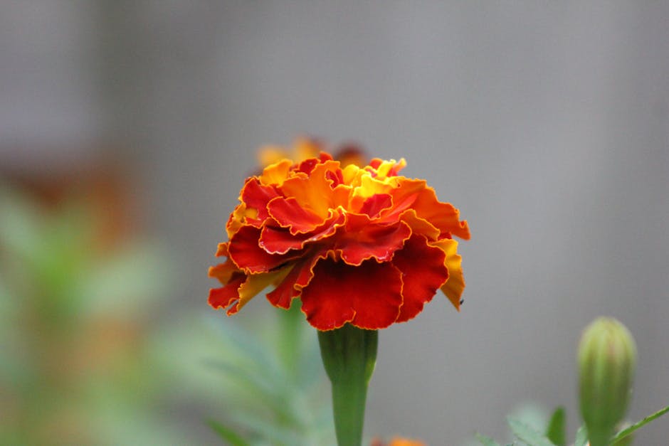 Peter Park tweet media