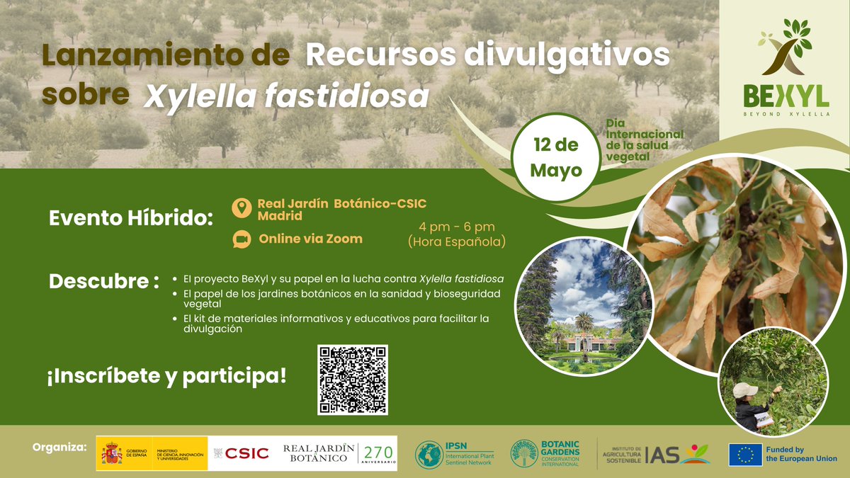 BexylP's tweet photo. In celebration of the International Day of Plant Health on May 12, the BeXyl Project, together with the Real Jardín Botánico - CSIC and the Institute for Sustainable Agriculture (IAS - CSIC), is hosting a hybrid workshop to present new scientific dissemination resources.

This event marks a significant milestone in our commitment to public engagement and scientific literacy regarding Xylella fastidiosa. The session will highlight how botanical gardens contribute to plant biosecurity and will provide attendees with a comprehensive kit of educational materials designed for researchers, educators, and the general public.

📅 12 May | 🕓 4:00 pm – 6:00 pm (CEST)
📍 Real Jardín Botánico-CSIC (Madrid) & Online via Zoom

Access is free upon registration. Please secure your attendance:
https://t.co/SQDjLRnfnq

#BeXylProject #PlantHealthDay #XylellaFastidiosa #HorizonEurope

@IAS_CSIC 
@REA_research