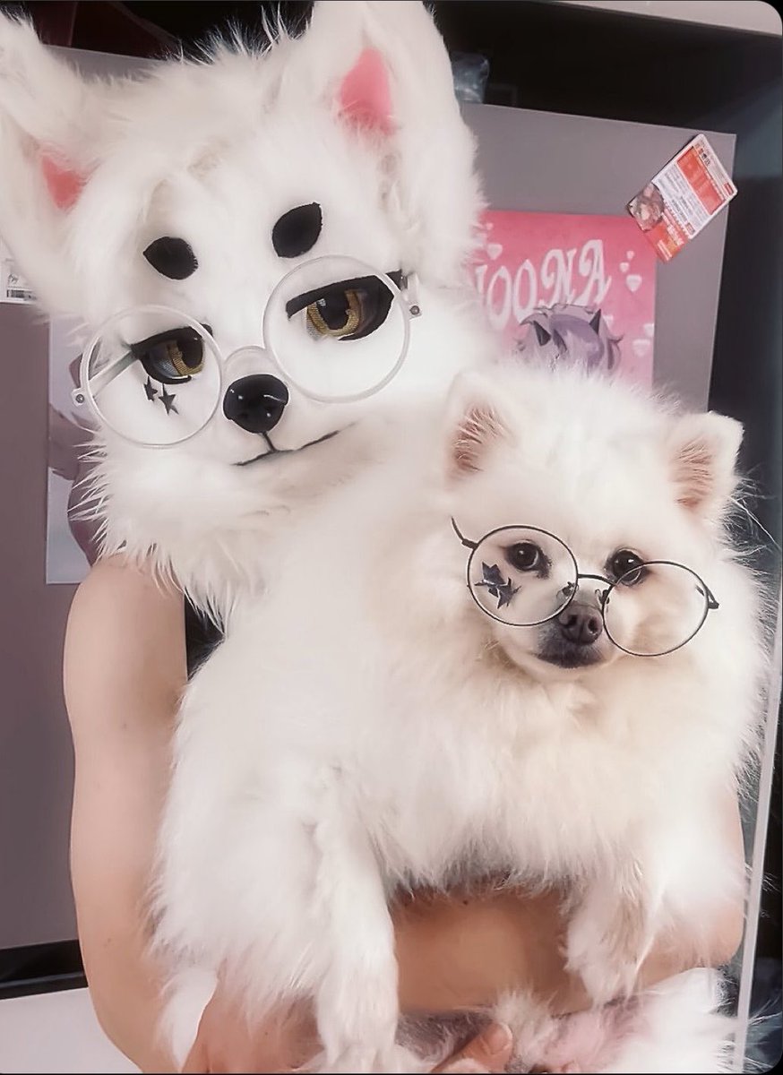 Krunch 바삭이 tweet media