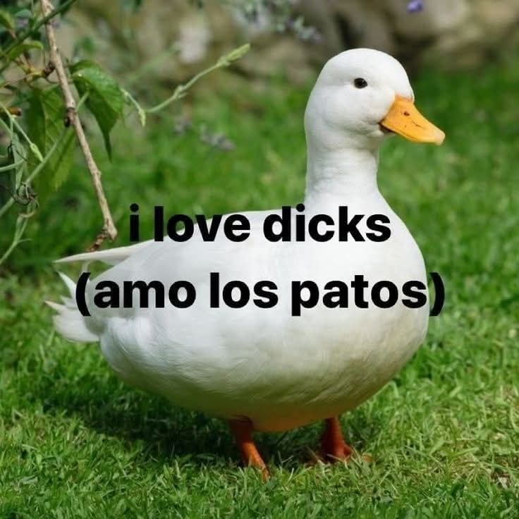 En Júpiter tweet media