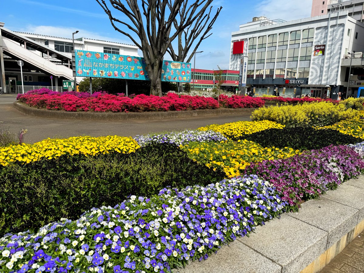 StudioBingoinc's tweet photo. すっかり暖かくなって、ビンゴの近くにある花壇は春爛漫です！
この気候がなるべく長く続きますように💐✨
#ビンゴの日常 https://t.co/a7iQYxwWOo