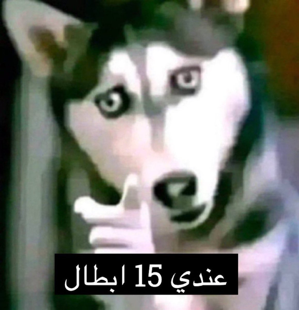 #نواف_الجهني tweet media