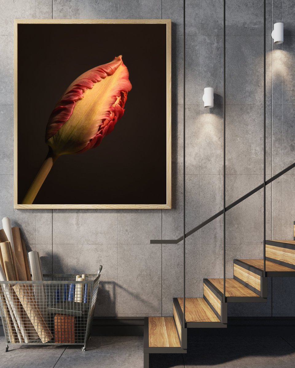 WLH1972's tweet image. Tulip, almost ready to burst

#tulip #macro #WallArt #HomeDecor

1-william-hulbert.pixels.com/featured/elega…