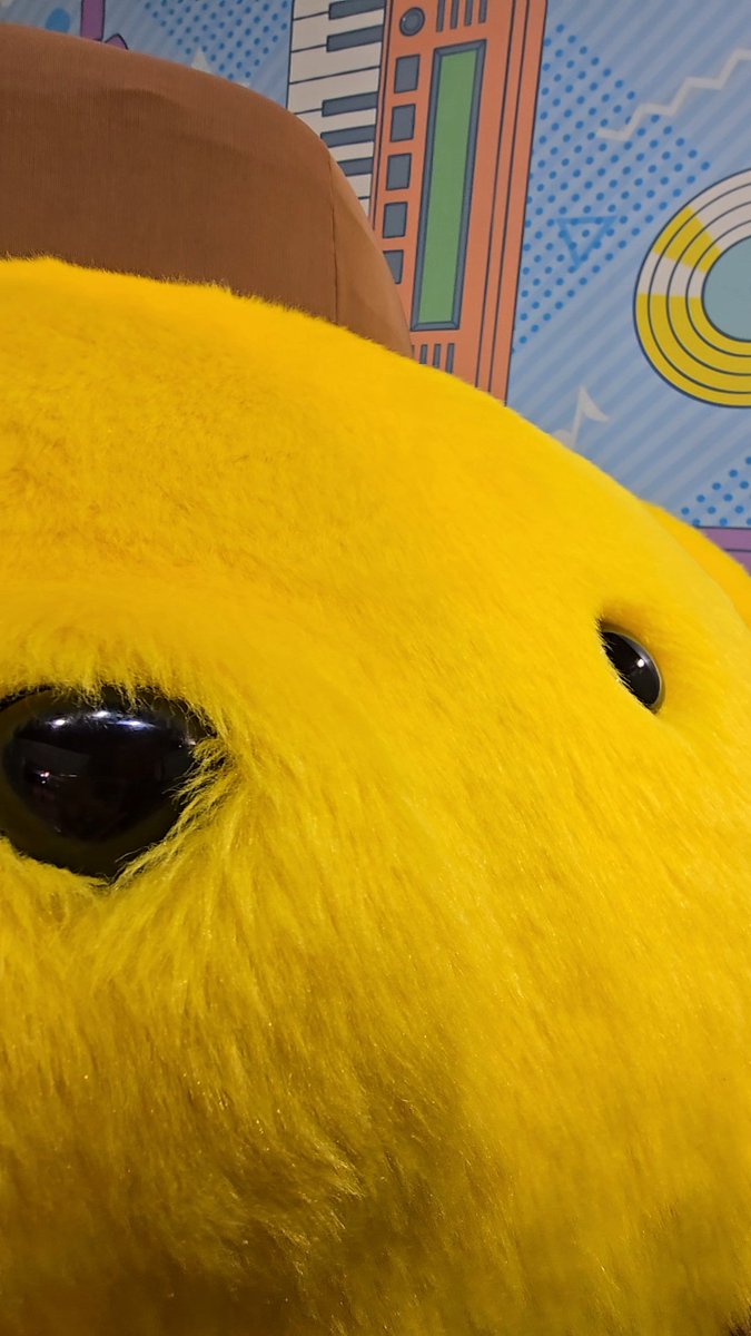 プリンくんお誕生日おめでとう〜！！！🍮✨🥰👟