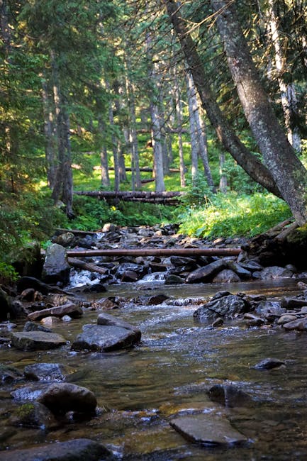 Linda Shields tweet media