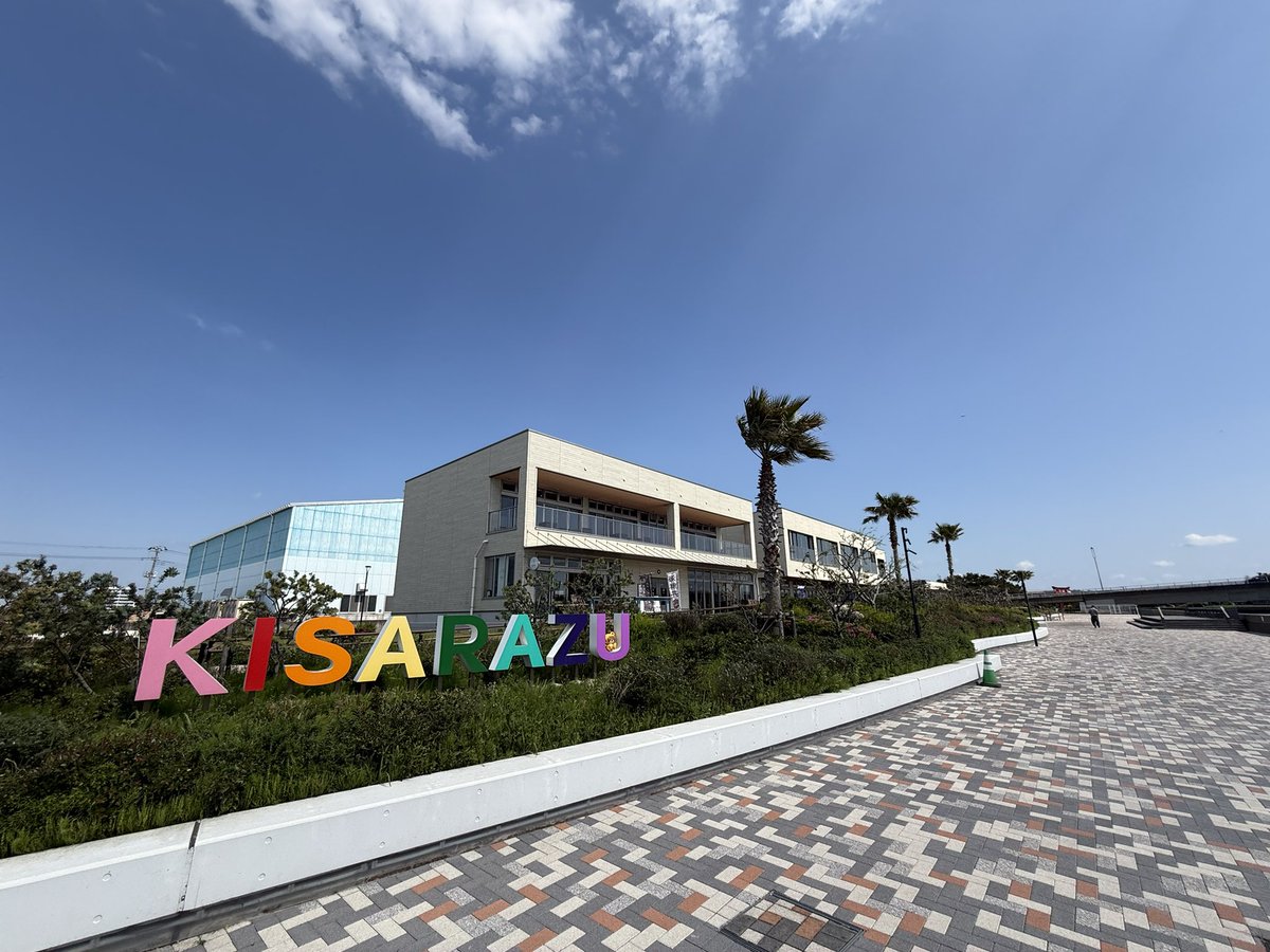 ハト（ハトン） tweet media