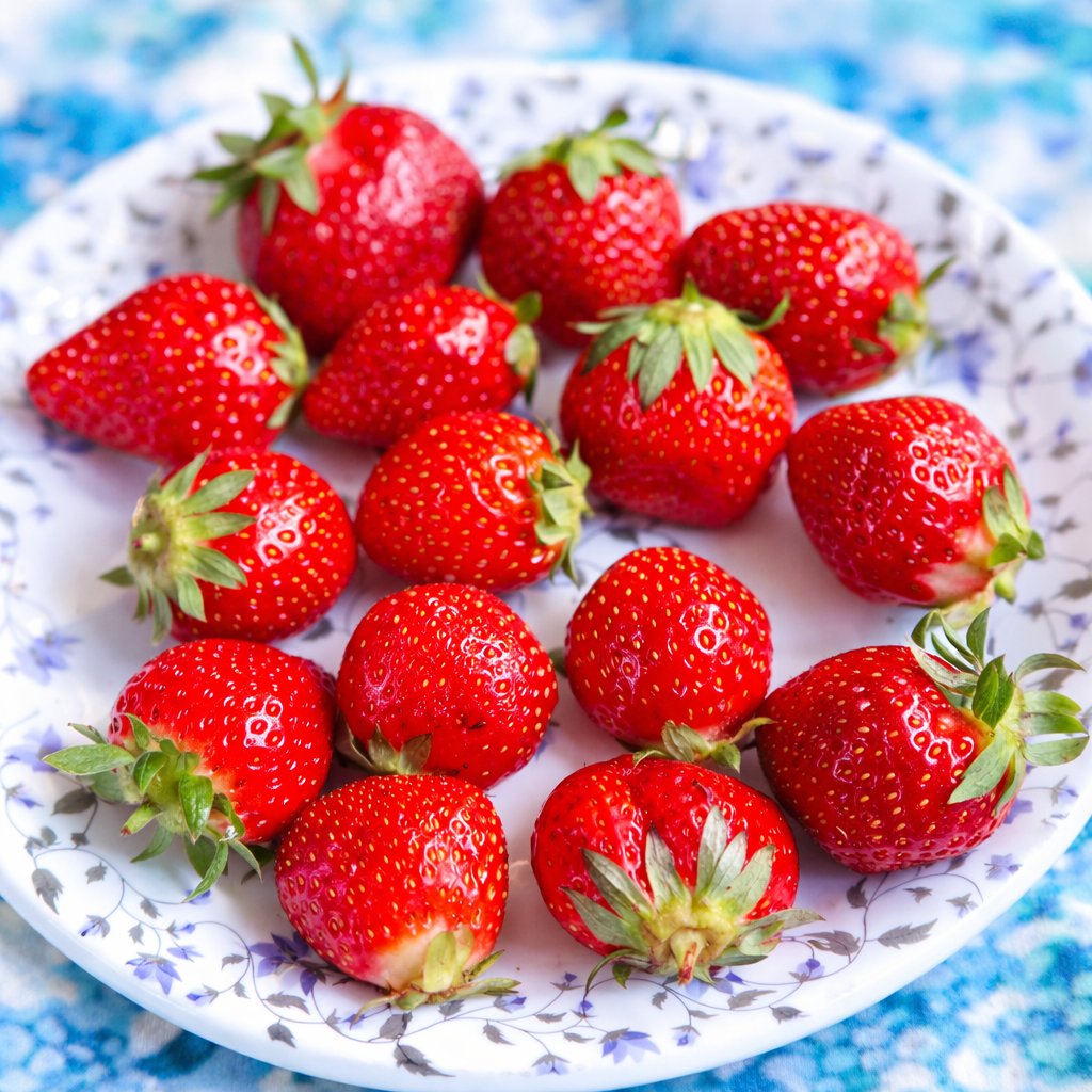 Hues of crimson 🍓
