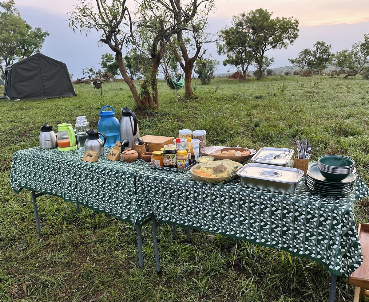 There is no breakfast quite like a bush breakfast. From the fresh air to the quiet hum of the wilderness waking up.

It was a true pleasure hosting the Grimsrud family <a href="/bush_wonderers/">Bush Wonderers</a> mobile tented camp. #bushwonderers #murchison #visituganda #exploreuganda #safarilife