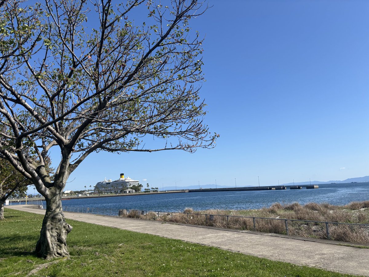 あいりす。△ tweet media