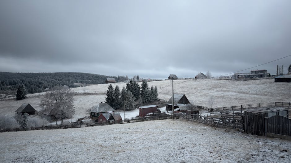 Johnny Phillips tweet media