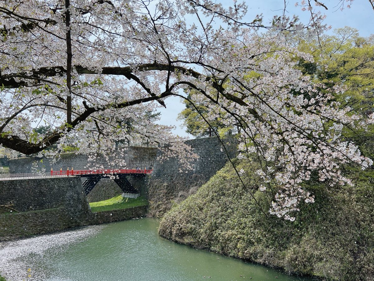 あーちゃん💙🌹 tweet media