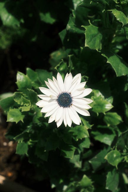 Crystal Ryan tweet media